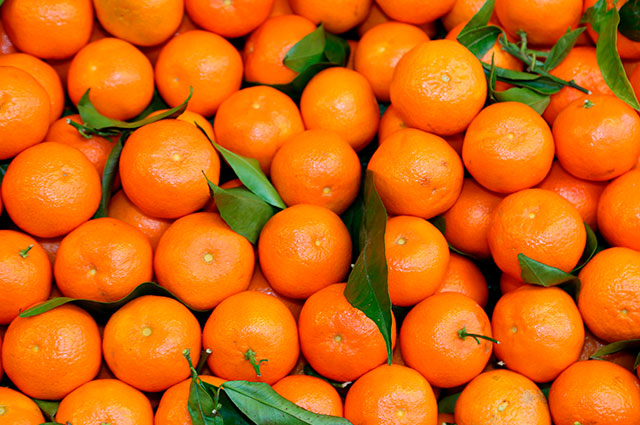 Citrus